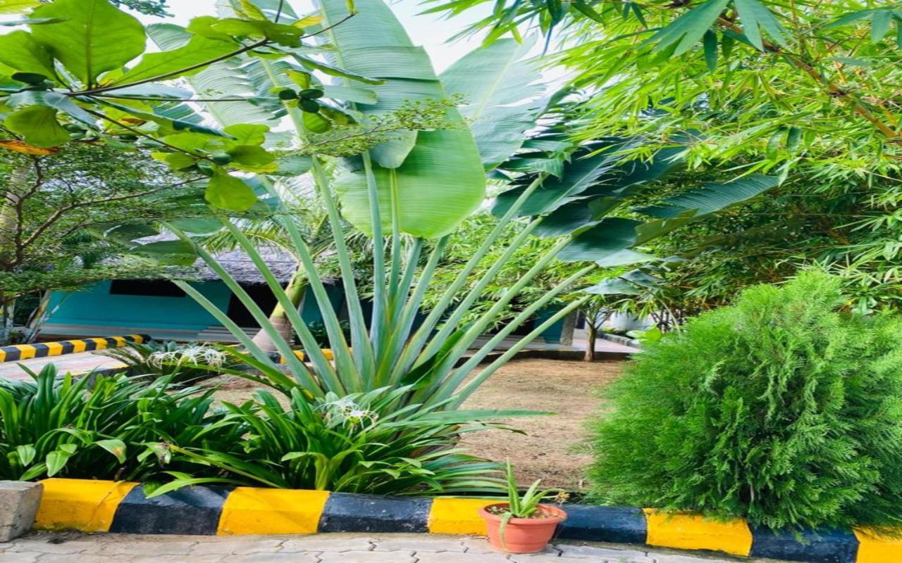 Hotel Megha Resort ハンピ エクステリア 写真